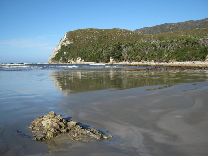 cox bight.jpg